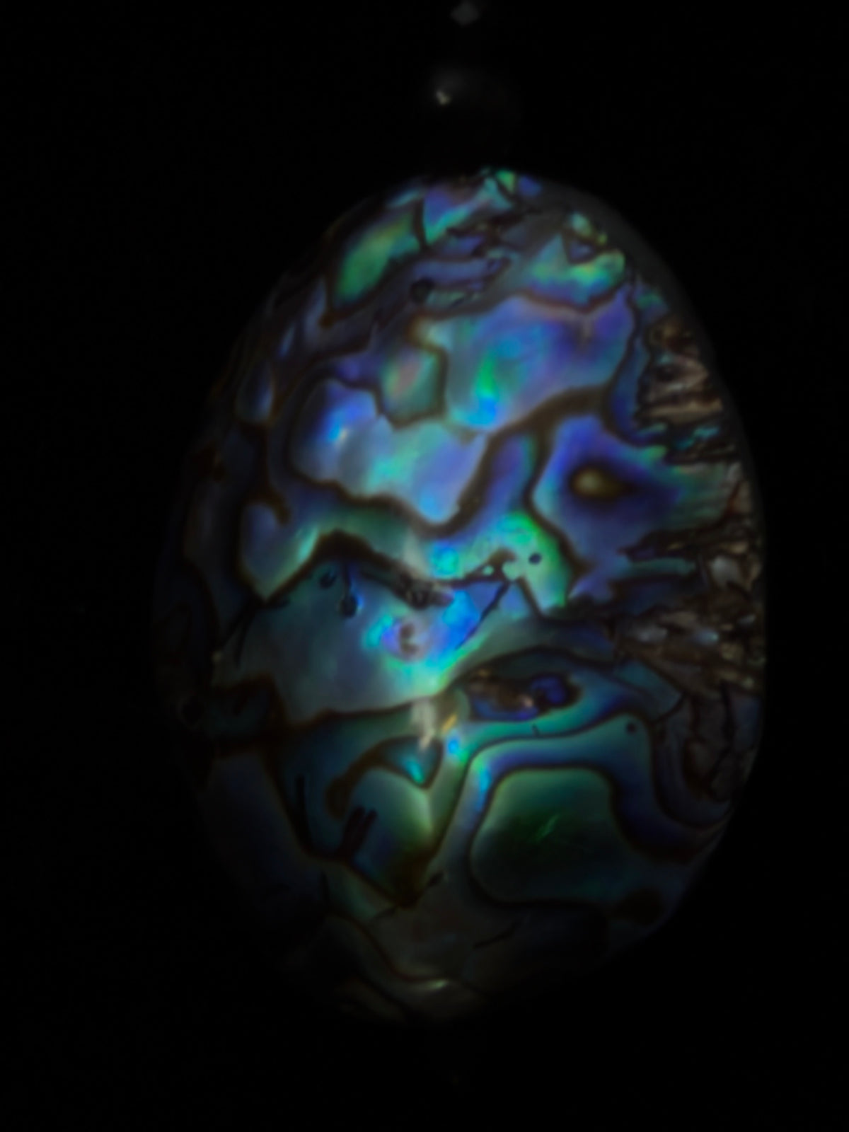 The Midnight Abalone Necklace