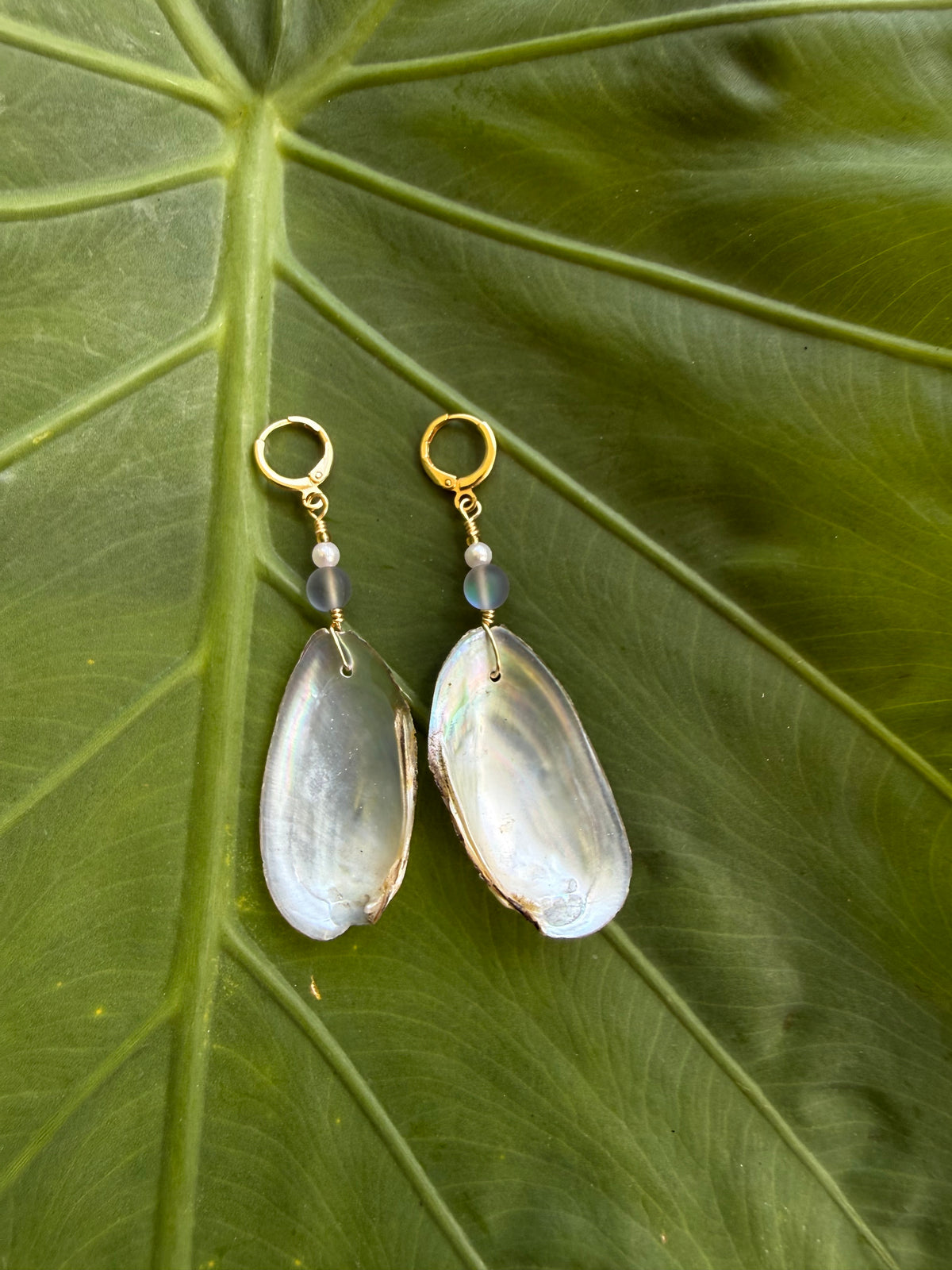 Low Water Earrings