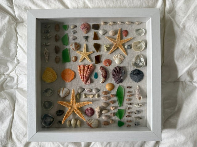 THE SEA’S CURIO CABINET