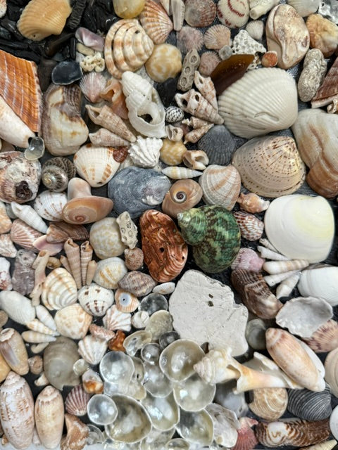 A THOUSAND LITTLE DISCOVERIES