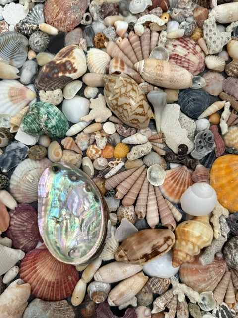 A THOUSAND LITTLE DISCOVERIES