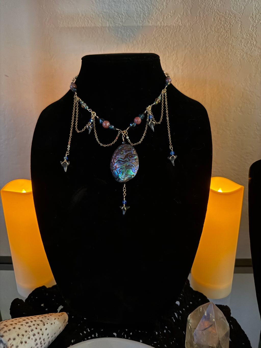 Queen Abalone