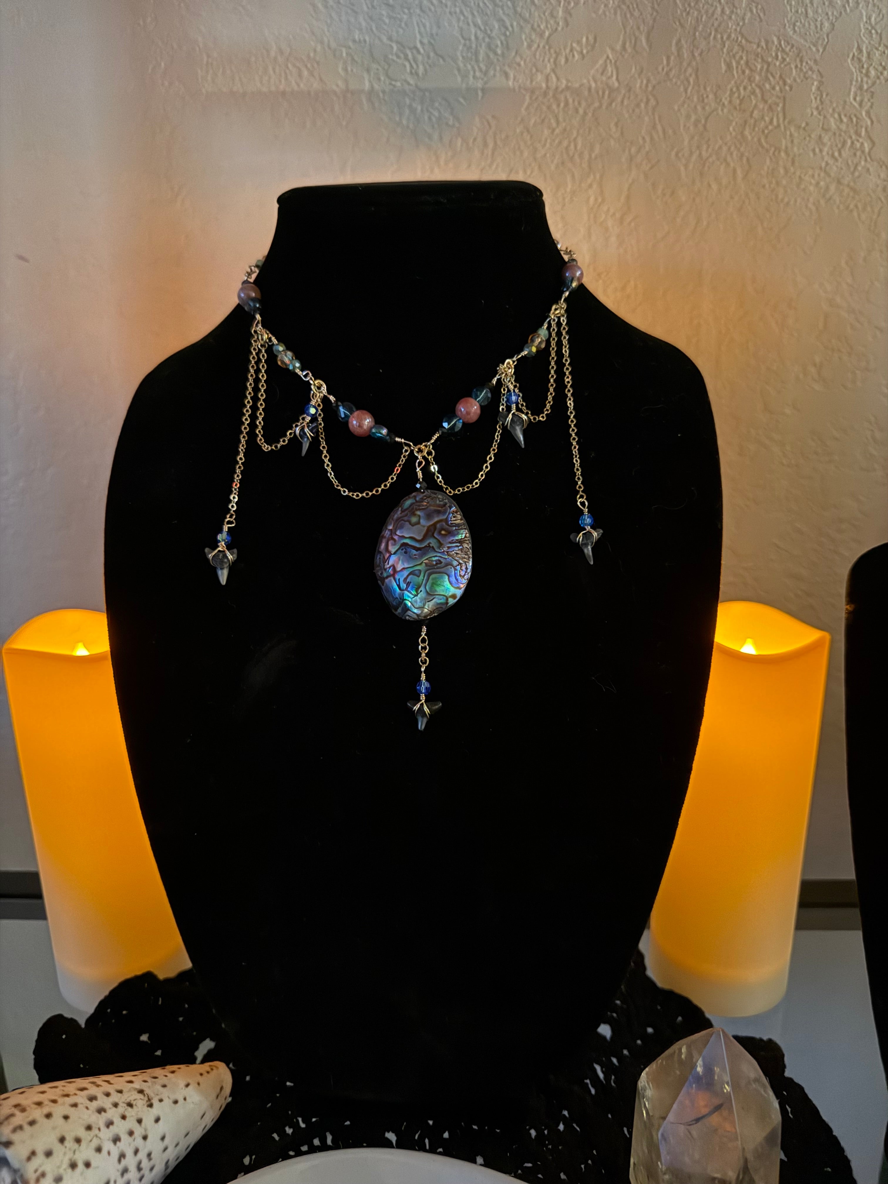 Queen Abalone