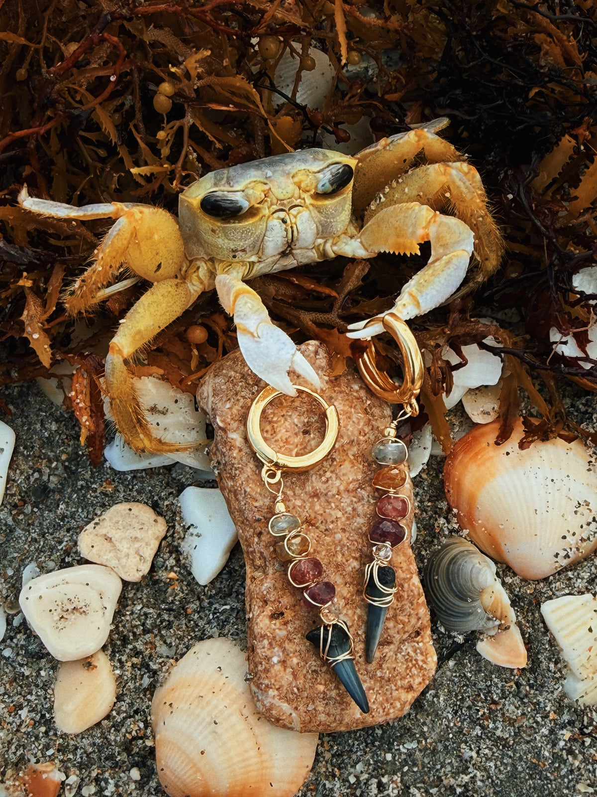SARGASSUM SAPPHIRE